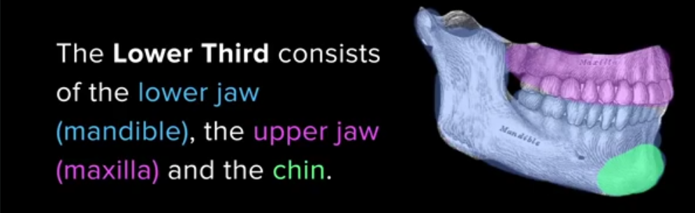 1614279173400.png