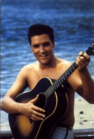 elvis-1111.jpg.cf.jpg