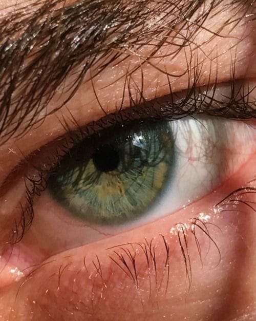 BB6CEFE1 A1E3 4A26 BA88 F7D5A461D6B5