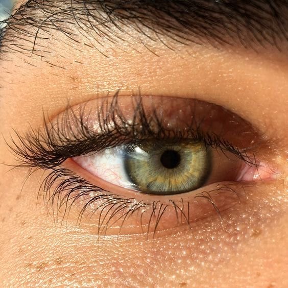 E5896BEF 8F7B 4089 8DC7 AAFA84975506