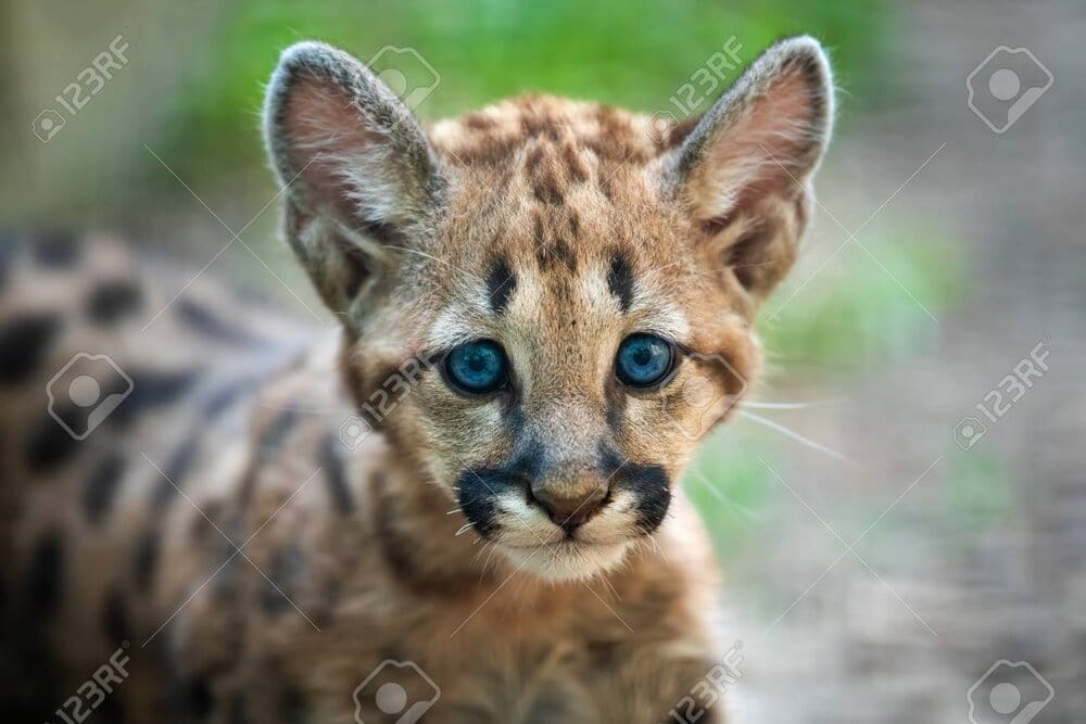 B3FAF96C F895 4853 86F7 1A7C9A0C228E