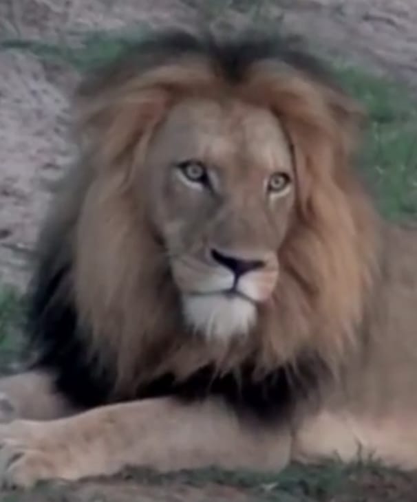 66311B64 4A3D 47BB B3C5 29B8C4525CC3