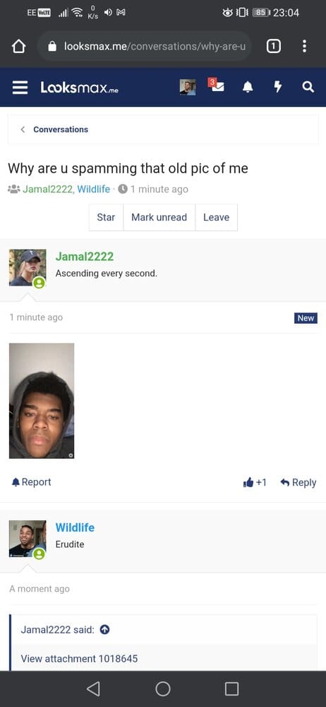 Screenshot 20210302 230428 comandroidchrome