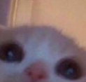 Chrome AC4RGcQRhV