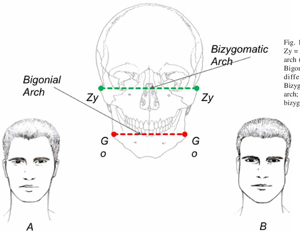 2 Figure1 1
