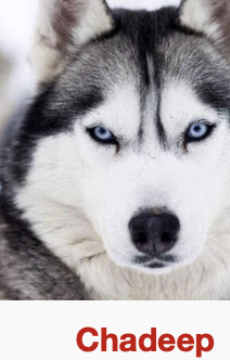 Screen Shot 2021 03 04 at 80802 pm