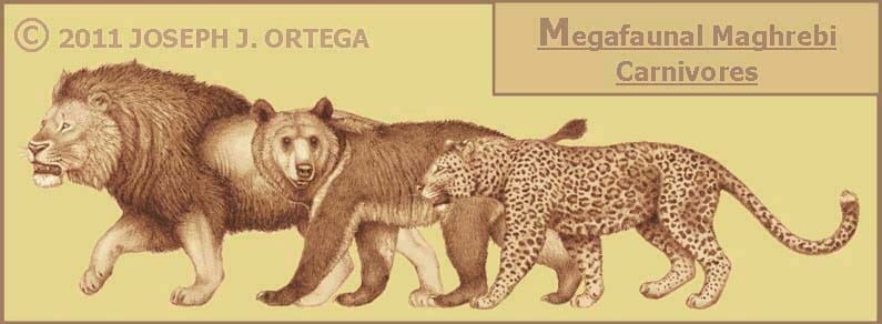 North african carnivores