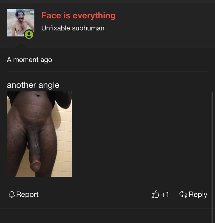 EA10C084 406F 40F6 8553 9A28ED57452B