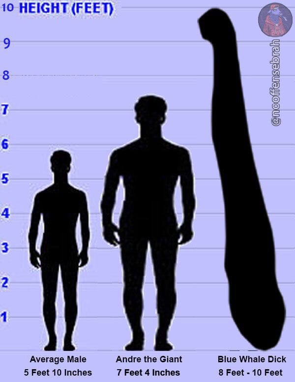 001A3344 87E7 4C15 94F9 48FC2E20B3A7