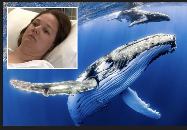 381671D8 646E 4C69 9D66 970F7BC12F7B