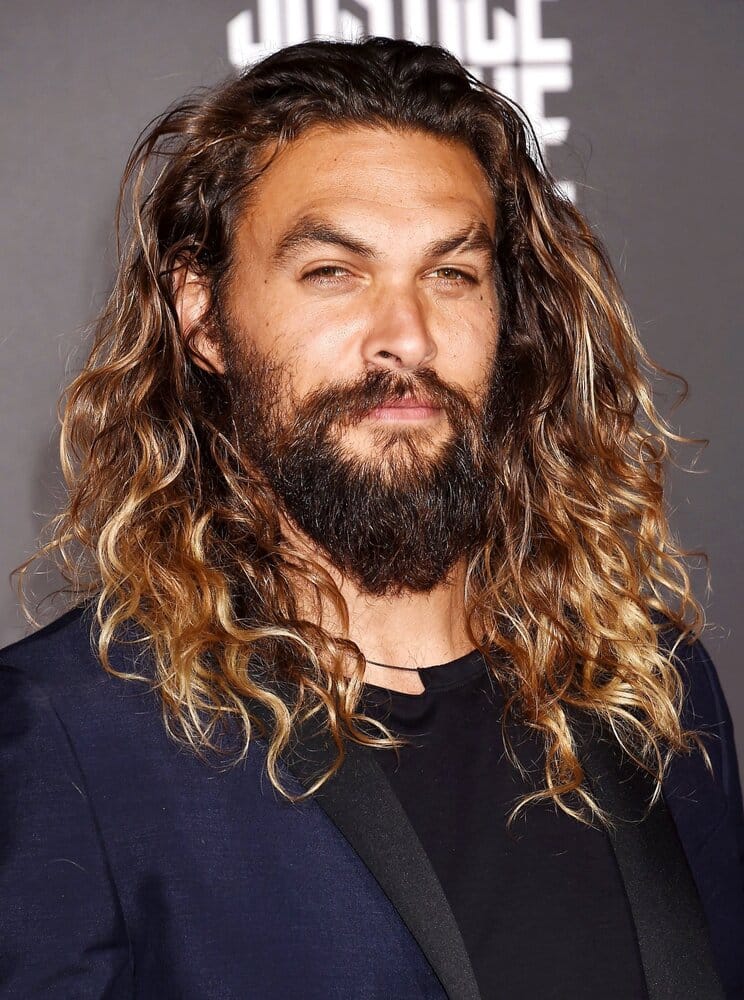 Jason momoa highlight hair