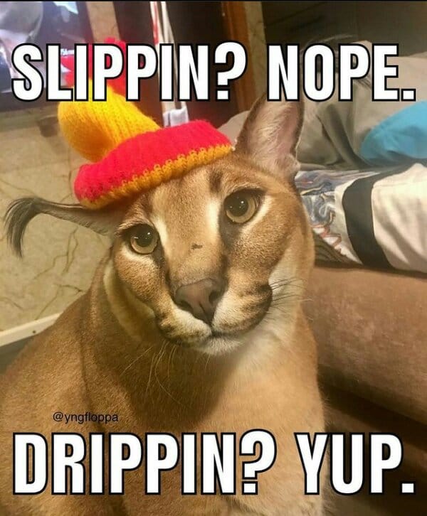 0F1E00F8 D9E1 48FC 8CDD E219CBADF415