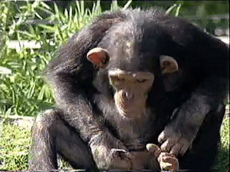 1E45B5D6 1E92 479B A8AB 8FC4FE6C29AC