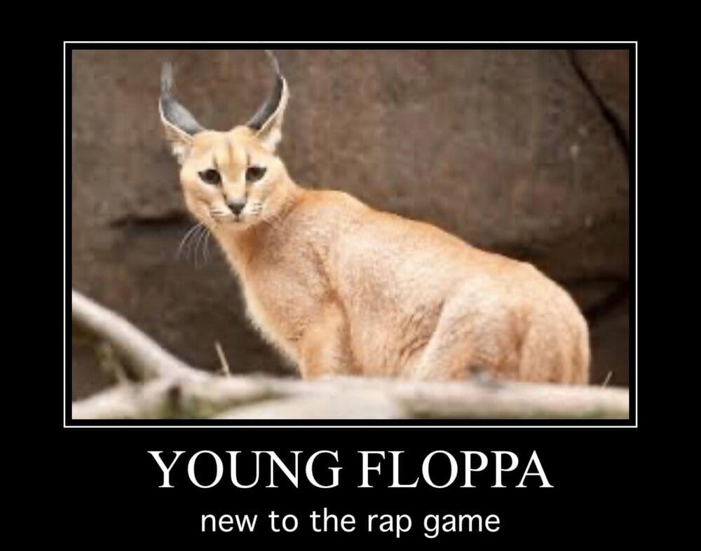 4B3181E9 5C8C 4518 AF74 F89C6540A06C