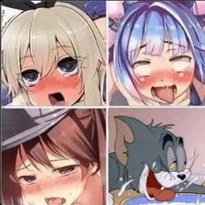 120047613 3338891122842552 6320006282289593740 n