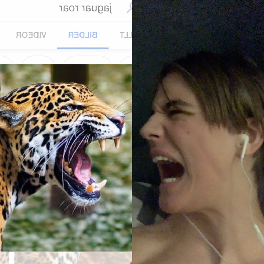 16C881B3 E188 493F B81D 6C7E3C81A52E