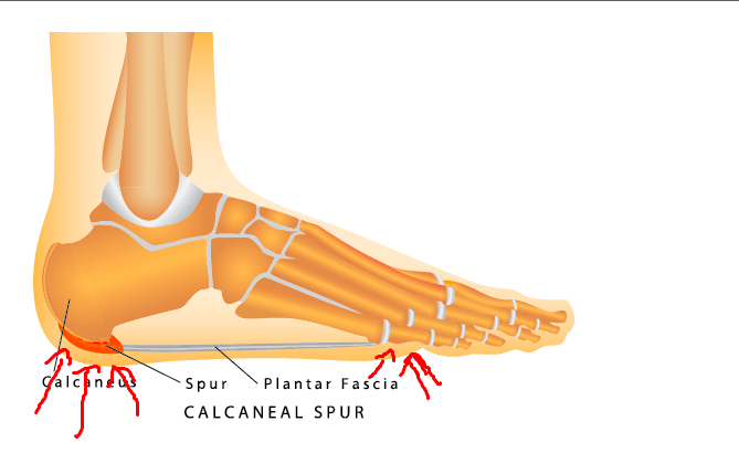 Screen Shot 2021 03 06 at 20534 pm