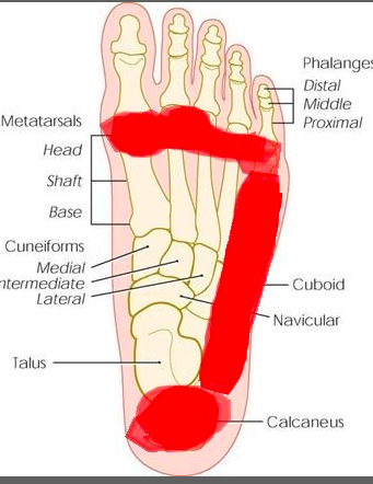 Screen Shot 2021 03 06 at 20704 pm