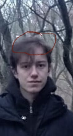 98E13685 5173 4E6D 8D0B A3CEB3F2B28E