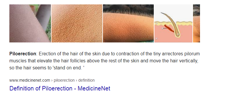 1615087045196