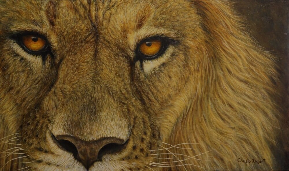 Lions Eyes e1542857608975