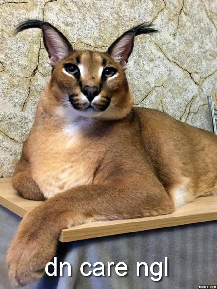 21EE5B08 E4E7 4049 8940 EACF78747FB7