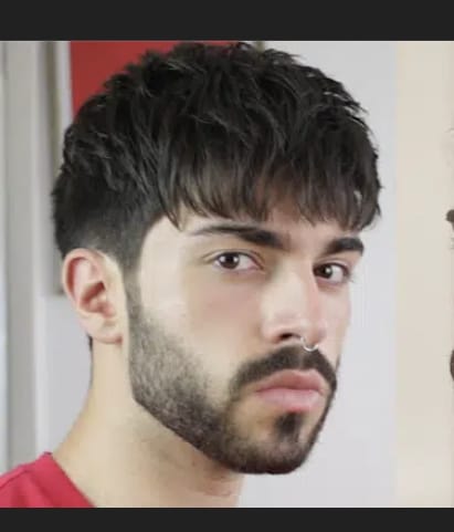 C5CC51A1 A35E 4BF0 9497 550639978C14