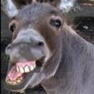 7c4dc538 bf6d 45d9 9b19 f71f272491c9 400x400