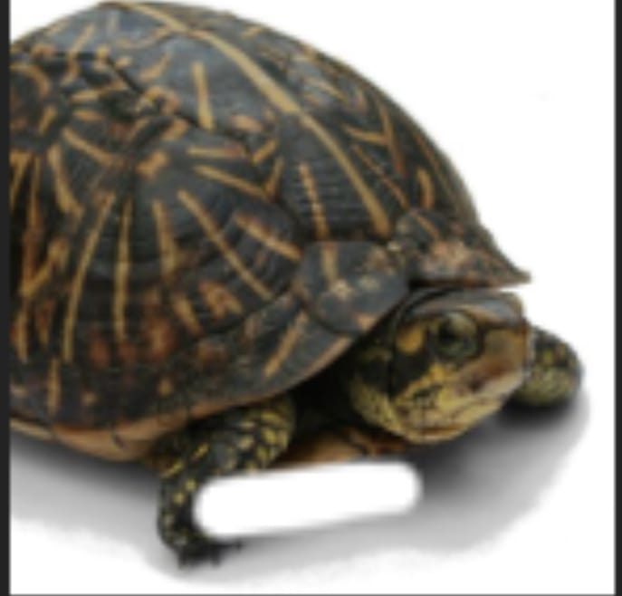 89639C23 C788 48EE 8B9A FAD7E70165BA