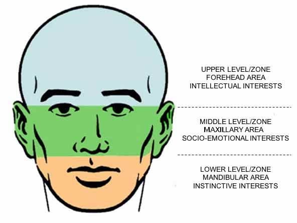 Levels Zones of the face Areas of interest