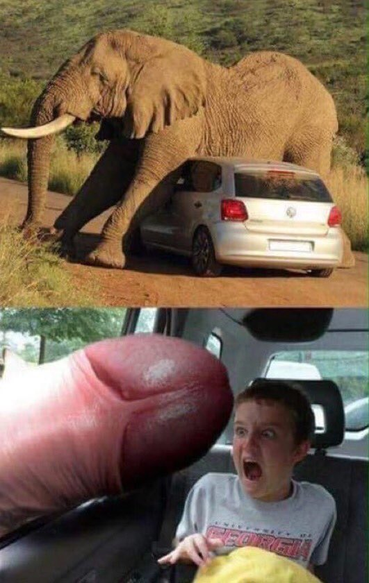 6E5F5394 8790 4E93 90BC 3F0BE31C1043