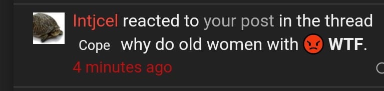 Screenshot 20210312 152055 Chrome