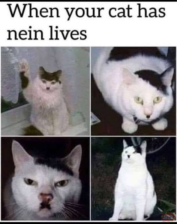 1615576067229