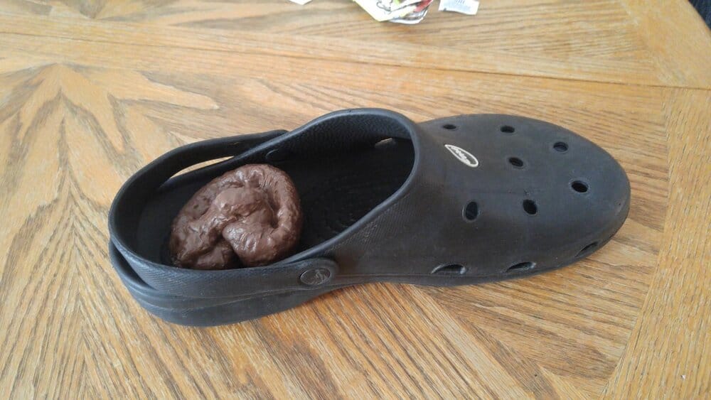 Pooinyourshoe