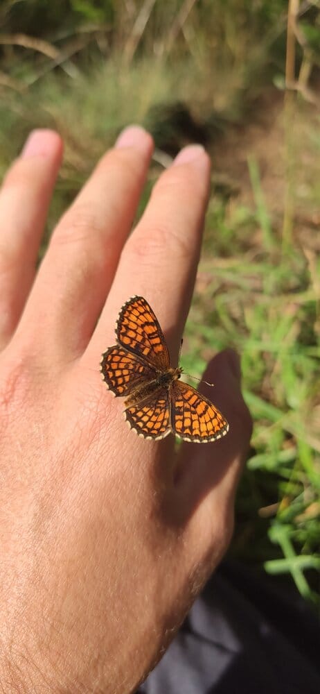 Screenshot 2021 03 13 17 48 08 292 commiuigallery