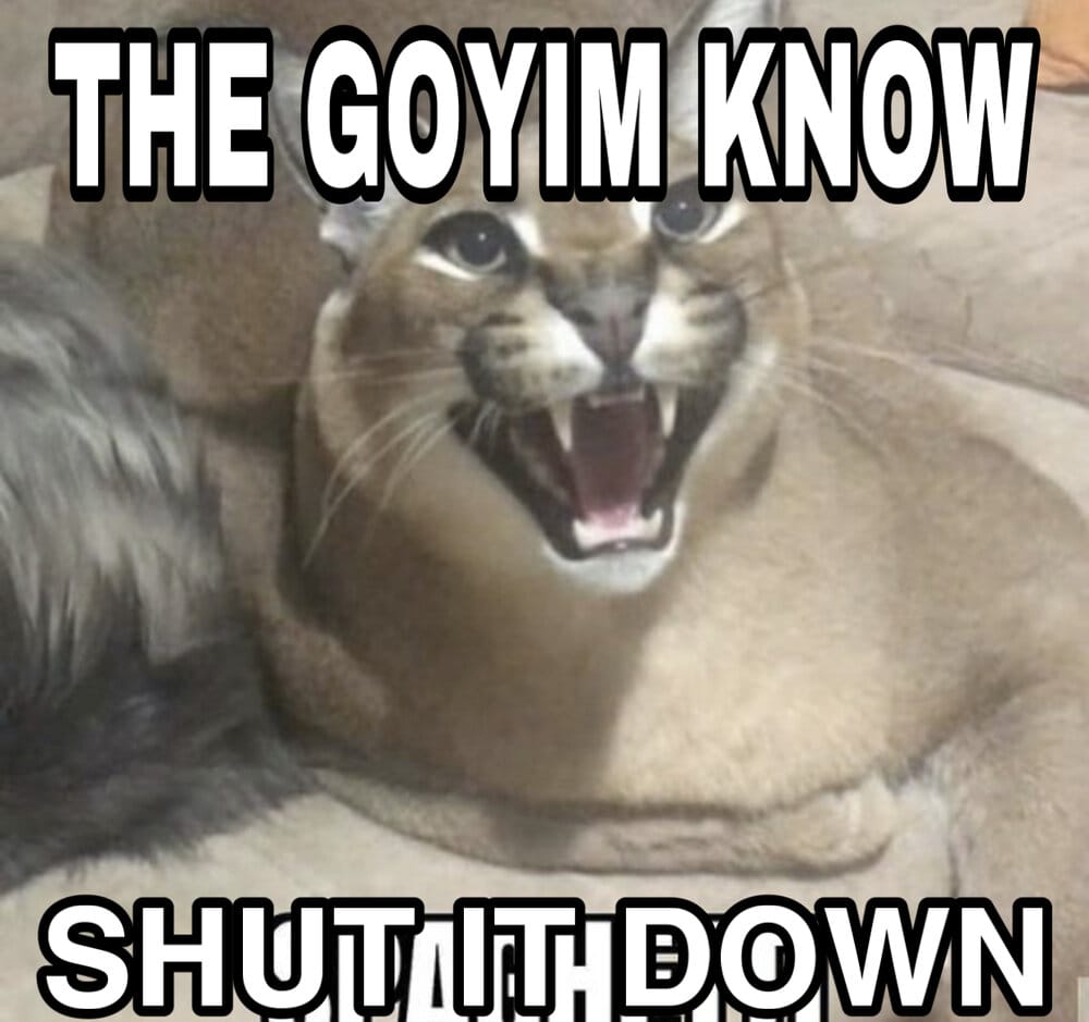 659129F6 24DF 42AB AD7E 7007C34DBD52