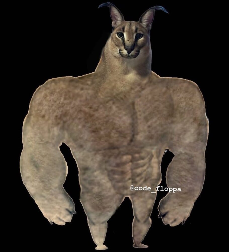 A9C0AC7D 7E03 4ABE 89DF B941126F838C