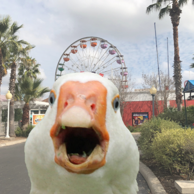 9787