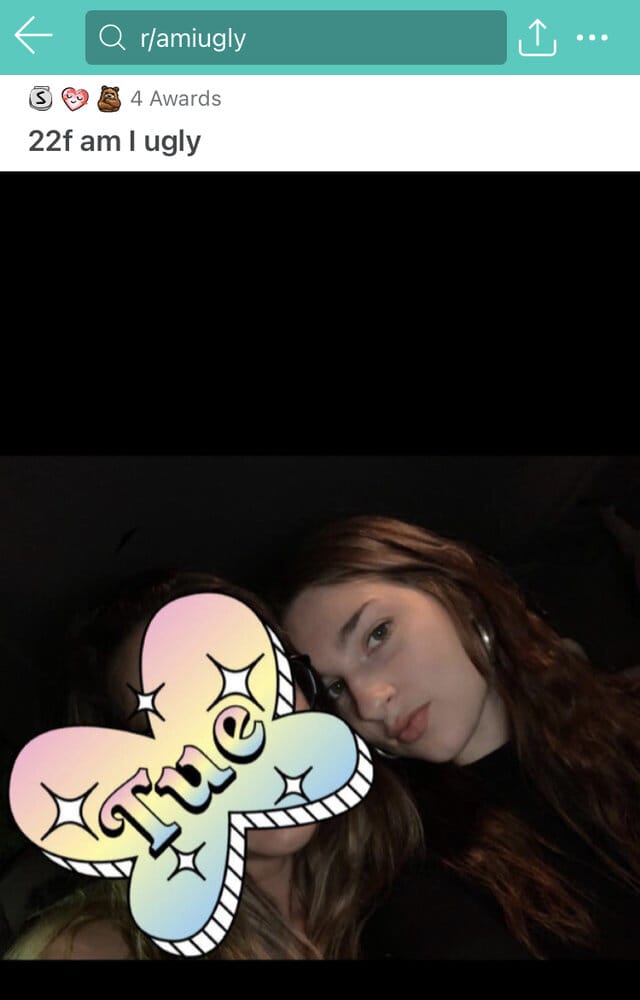 5DF81352 D41F 429F 98D4 232D8B6F448B