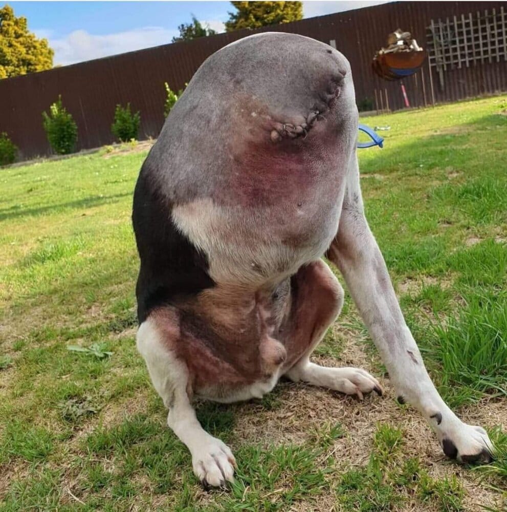 06B20C83252D4B33AC5083D8BD699457