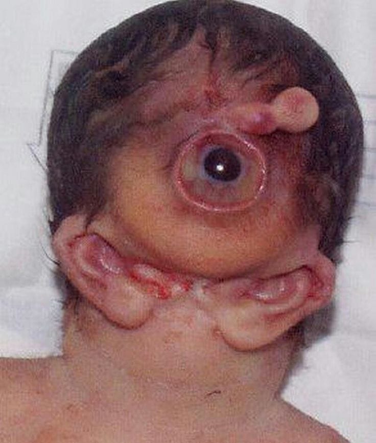 Ff2c284c2ec8a1c1cfe55bc96e53eb37