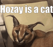 95C6A445 DC70 4671 9248 ACBEDC106D0A