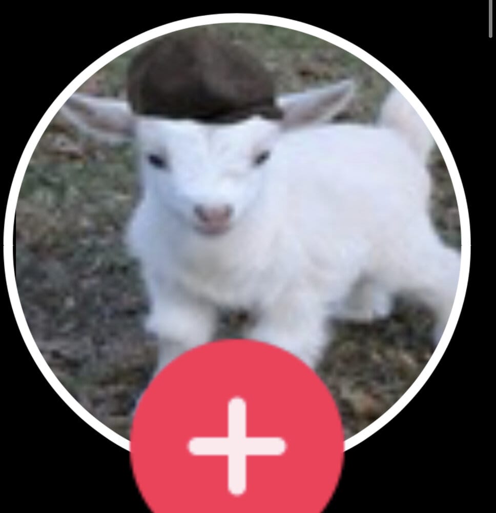 E49F4F03 9430 4DB9 B213 FC9EA6DF5F16