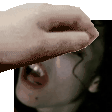 Xd