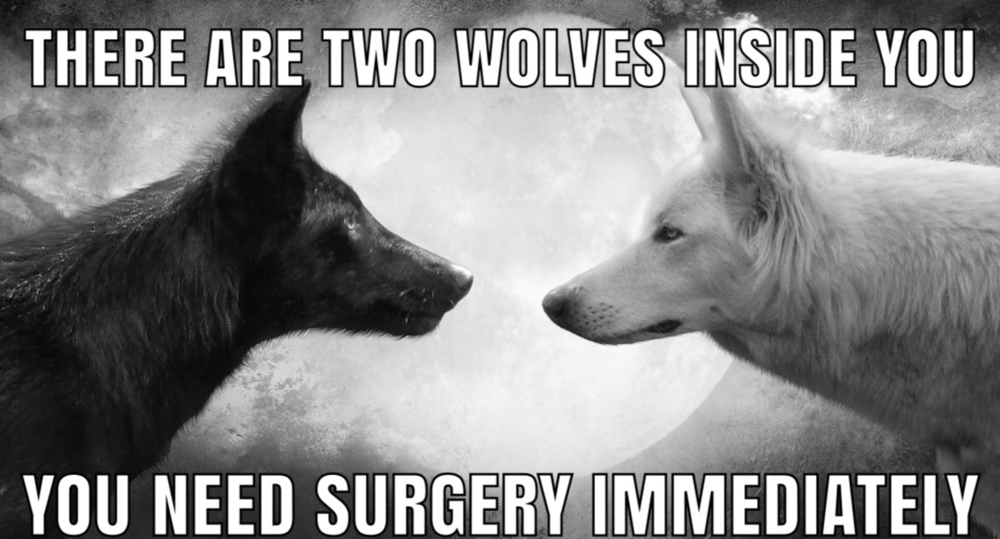 192C3589 564D 47DF 8457 306DD0B01EF7