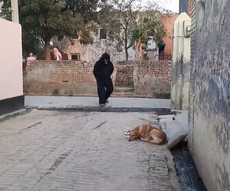 FF76527C A049 4685 9283 8817CB3112B3