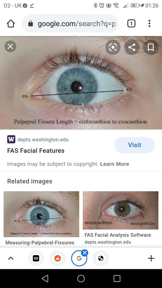 Screenshot 20210319 012639