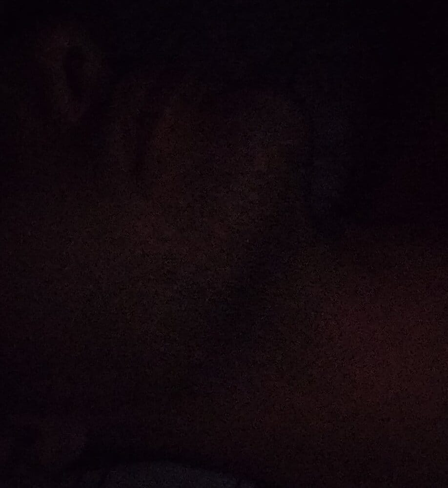 IMG 20210319 194958  01