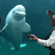 1E24940C CD3F 446D 852D AFC8F1174843