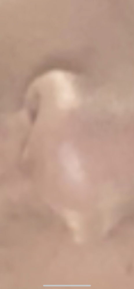 C01E8975 AF47 4EDF B811 31A4B03AC893